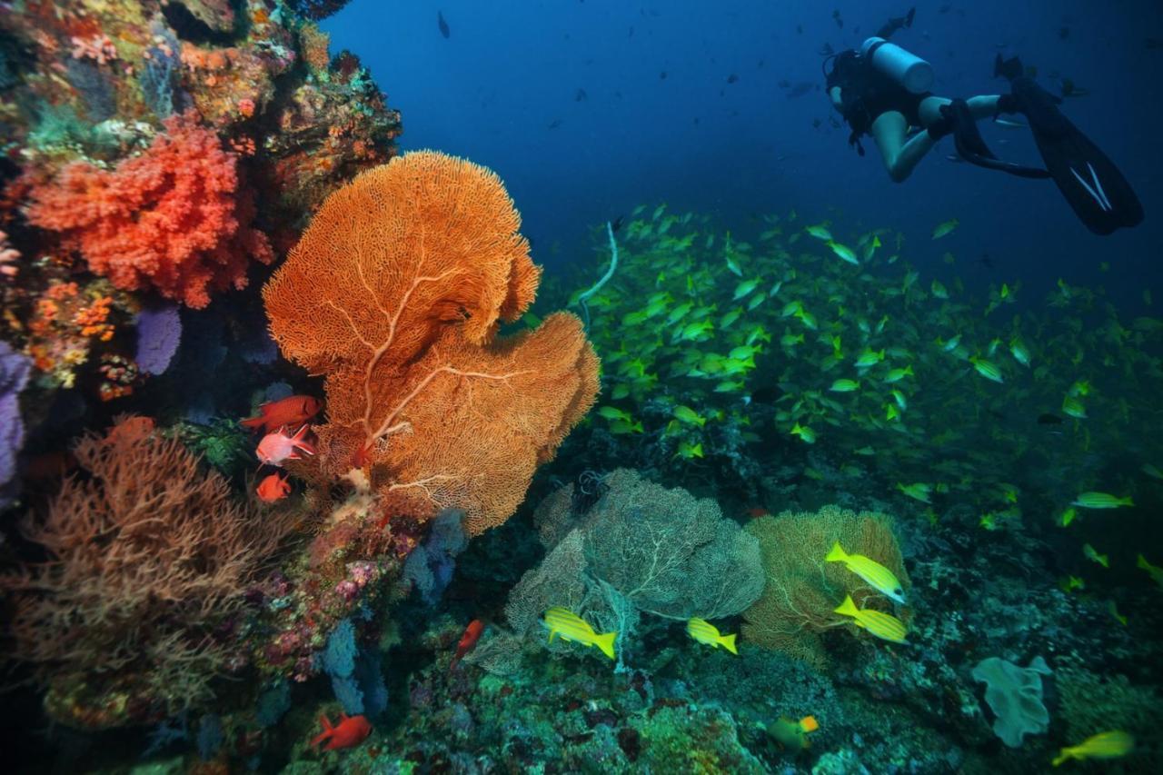 Aquzz Hotel & Spa - Maldives Maafushi Bagian luar foto